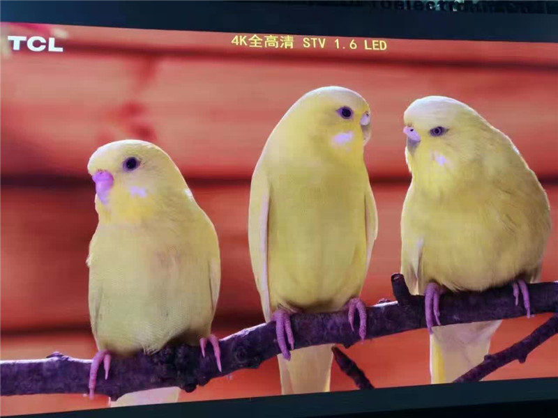 鄭州某酒店展廳