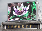 大理國際拍實中心P16全彩